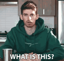 What Is This Joey Kidney GIF - What Is This Joey Kidney Joey Kidney Channel GIFs