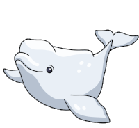 Beluga Whale Sticker - Beluga Whale White Whale Stickers