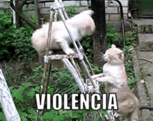 Violencia GIF - Violencia GIFs