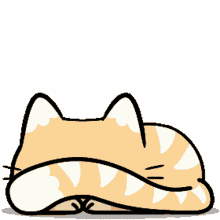 cat kitten kitty pussy cat cute cat kitten kitty pussy cat cute