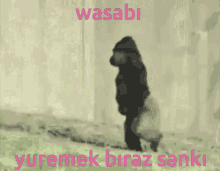 Was Wasabı GIF - Was Wasabı GIFs
