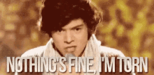 Nothing'S Fine, I'M Torn GIF - Torn Im Torn Nothings Fine GIFs