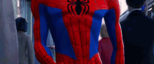 Spider Man Into The Spider Verse Peter Parker GIF - Spider Man Into The Spider Verse Spider Man Spider GIFs