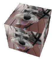 Otto Dog Schnauzer Dog Sticker - Otto Dog Otto Schnauzer Dog Stickers