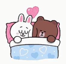 sleeping brown and cony brown cony heart