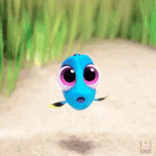 Dory Finding Dory GIF - Dory Finding Dory Finding Nemo GIFs