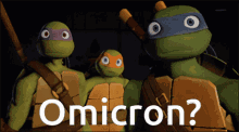 Omicron Tmnt GIF - Omicron Tmnt Teenage Mutant Ninja Turtles GIFs