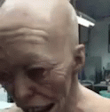 funny GIF