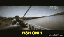 jeremy wade fish on fishing