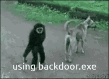 Backdoor Backdoorexe GIF - Backdoor Backdoorexe Backdoor Dot Exe GIFs