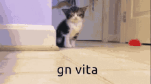 Vita Sleep GIF - Vita Sleep Cat GIFs