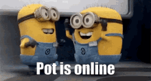 Pot Is Online Minions GIF - Pot Is Online Online Pot GIFs