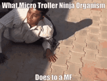 Micro Troller Ninja Organism GIF - Micro Troller Ninja Organism Troller Ninja Troll GIFs
