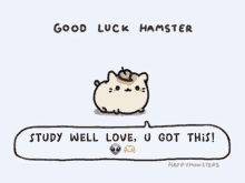 Good Luck Hamsters GIF - Good Luck Hamsters Stephanie GIFs