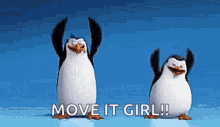 Penguins Of Madagascar Move It GIF - Penguins Of Madagascar Penguins Move It GIFs