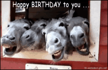 Happy Birthday Mule GIF - Happy Birthday Mule Greeting GIFs