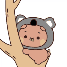panda tkthao219