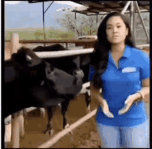 Cow Tongue Milking The Cow GIF - Cow Tongue Milking The Cow Licky Licky GIFs