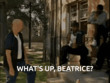 Whats Up Beatrice Birdman GIF - Whats Up Beatrice Whats Up Birdman GIFs