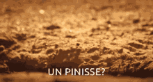 Pinis Pinisse GIF - Pinis Pinisse Pénis GIFs