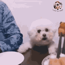 小狗狗 Doggy GIF - 小狗狗 Doggy Food GIFs