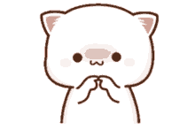 cats cat