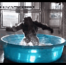 Gorilla Bath GIF - Gorilla Bath Warm GIFs