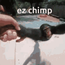 Chimp Ez Chimp GIF - Chimp Ez Chimp Ez GIFs