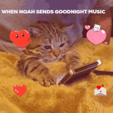 sov soup noah cat goodnight