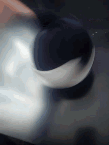 spin toy almost spin toy almost