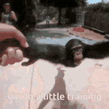 We Do A Little Training Beyblade GIF - We Do A Little Training Beyblade GIFs