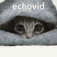 Echovid Junko GIF - Echovid Echo Junko GIFs