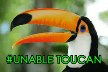 Toucan Unable Toucan GIF - Toucan Unable Toucan GIFs