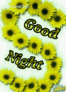 Good Night Night GIF - Good Night Night Sunflower GIFs