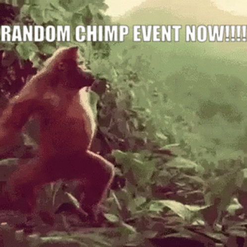 Chimp event random Chimp Fund