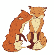 fox cute adorable love heart