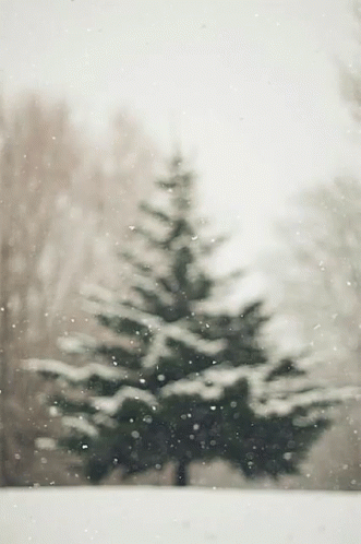 falling-snow