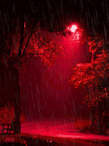 Lluvia Roja Raining GIF - Lluvia Roja Raining Street Light GIFs