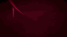 starchasm nyx seele veliona honkai impact