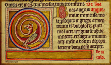 manuscrit aberdeen chougne pamela chougne