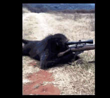 Sniper Monkey GIF - Sniper Monkey Funny Monke GIFs