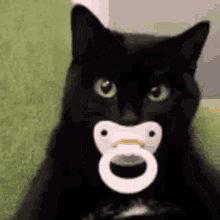 th1menes cat pacifier