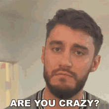 Are You Crazy Casey Frey GIF - Are You Crazy Casey Frey Are You Out Of Your Mind GIFs