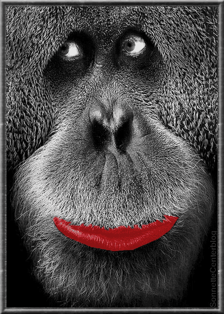 Monkeys that hav big ass lips Red Lips Gifs Tenor