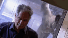 Kitty Wants Out GIF - Whodunnit Ex Cop Coach GIFs
