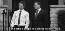 Suits You Dont Send A Puppy To Clean Up Its Own Mess GIF - Suits You Dont Send A Puppy To Clean Up Its Own Mess Gabriel Macht GIFs
