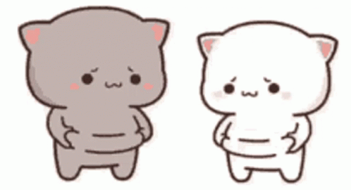 Chubby Cat GIF - Chubby Cat Cute - Discover & Share GIFs