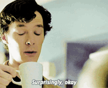 Ok Sherlock Youre Smart GIF - Ok Sherlock Youre Smart Sarcastic - Discover  & Share GIFs