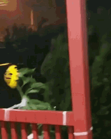 Tiktok Sunflower GIF - Tiktok Sunflower Storm GIFs