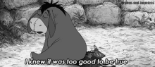 Hopeless Eeyore GIF - Winnie The Pooh Eeyore I Know It Was Too Good To Be True GIFs